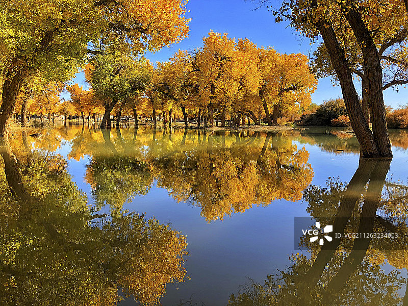 有镜框的风景图片素材