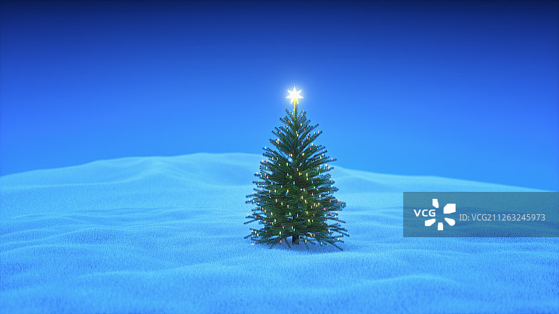 雪地中圣诞树图片素材