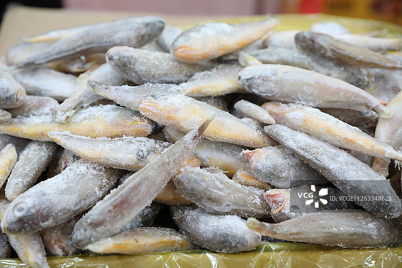 小黄鱼图片素材