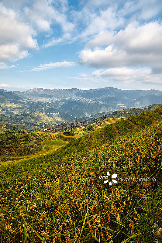 桂林龙胜龙脊梯田图片素材