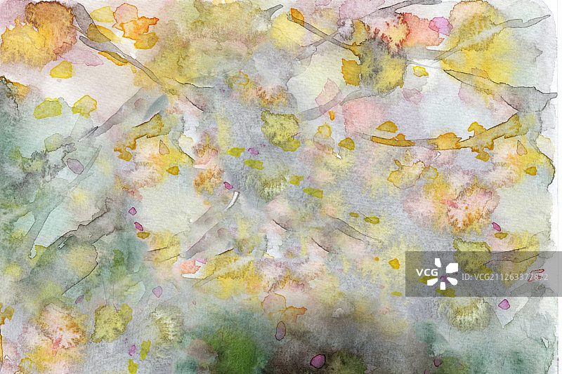 插画：手绘水彩抽象花卉背景图片素材