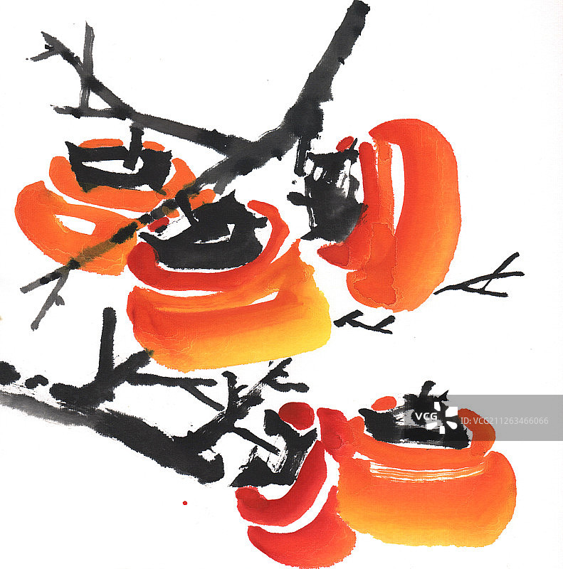 国画水墨插画-5颗柿子图片素材