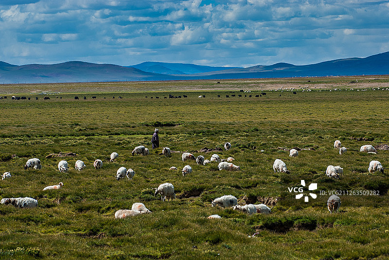 纳木措风光图片素材
