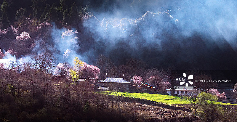 西藏林芝桃花谷图片素材