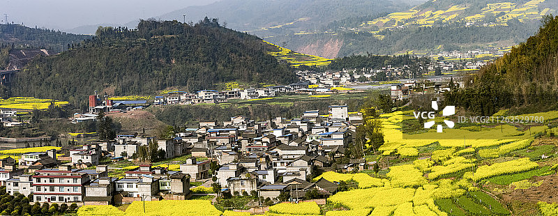四川省二郎山油菜花图片素材
