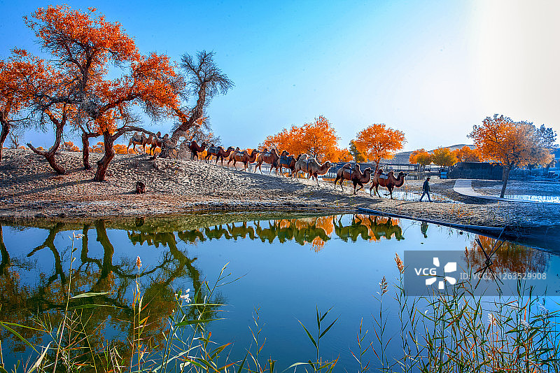 新疆塔里木河罗布人村寨风光图片素材