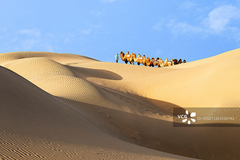 新疆塔克拉玛干大沙漠风光图片素材