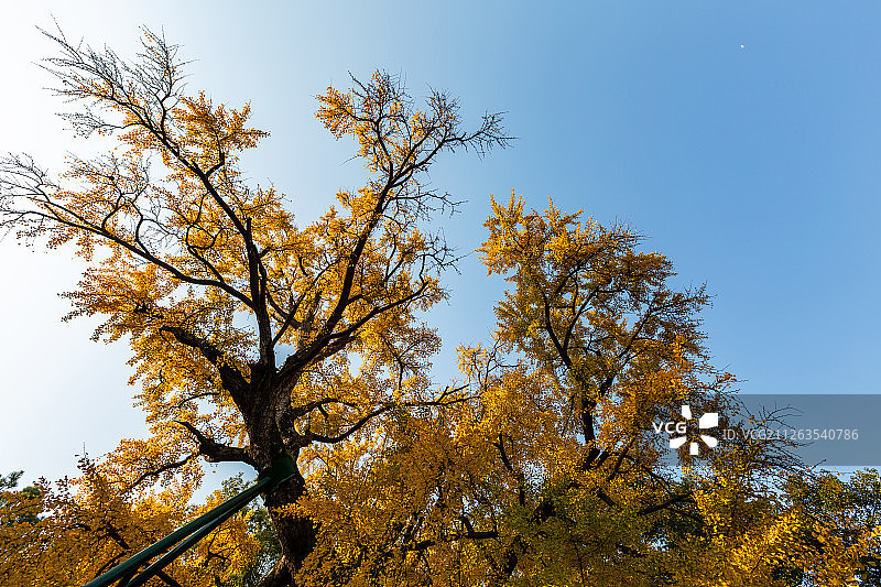 江苏省无锡市锡惠公园风景区美景图片素材
