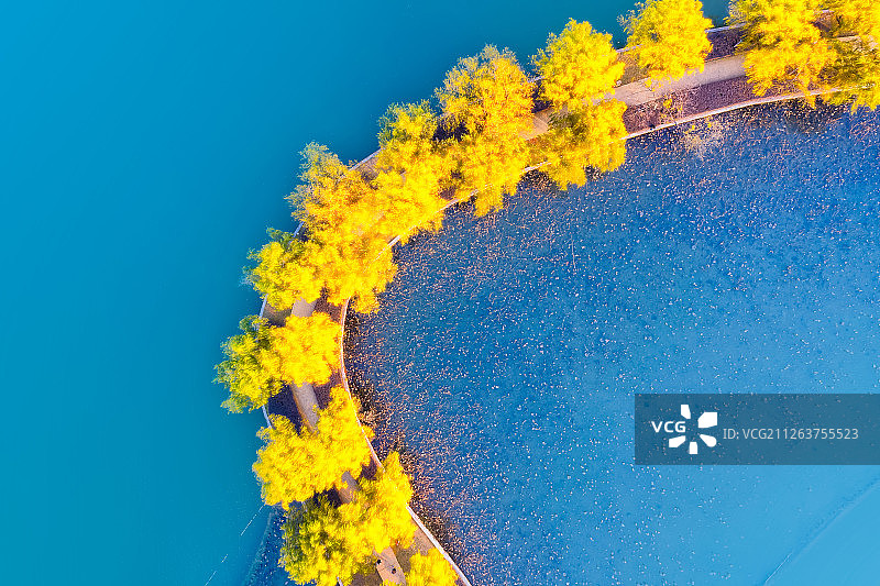 最美湖堤图片素材