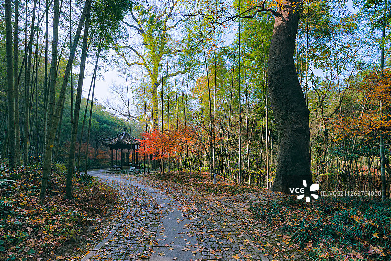 浙江杭州西湖云栖竹径红叶图片素材