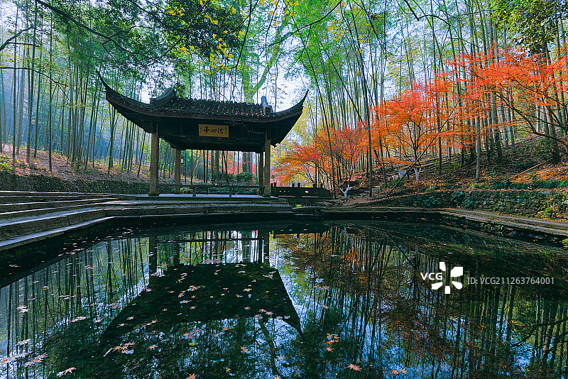 浙江杭州西湖云栖竹径红叶图片素材