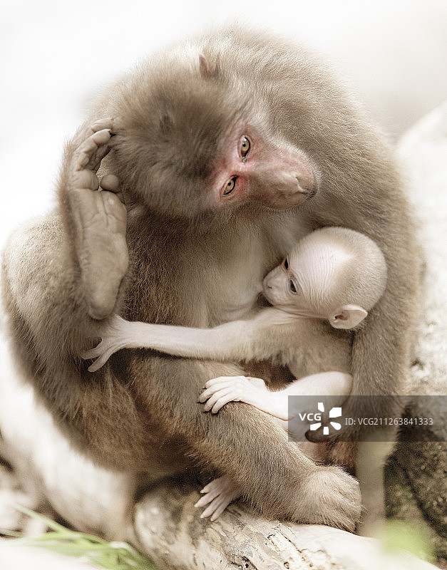 自然之爱图片素材