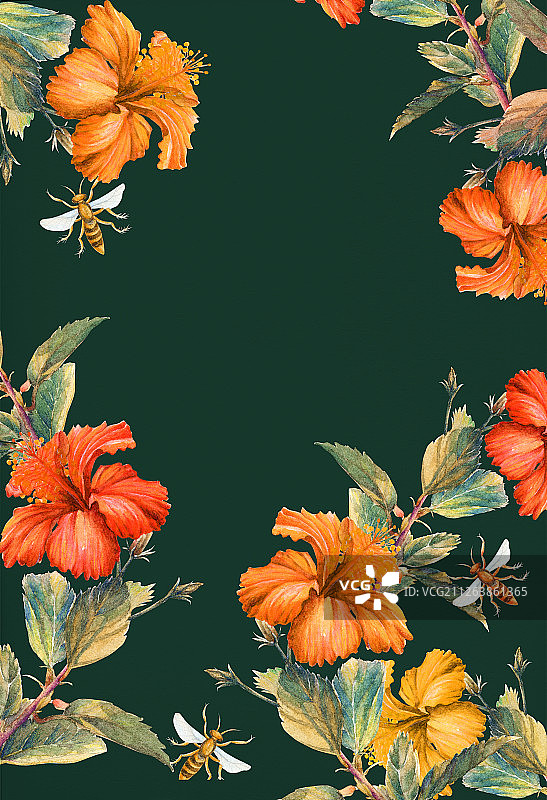 热带花卉图片素材