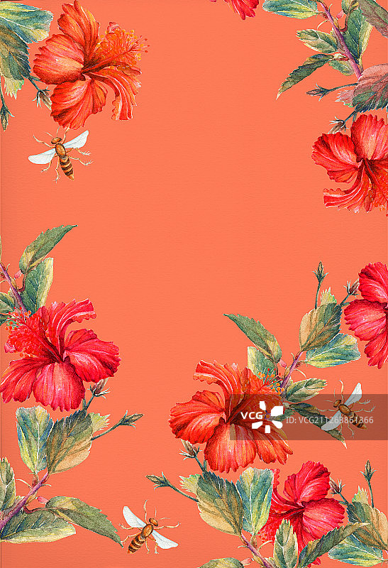 热带花卉图片素材