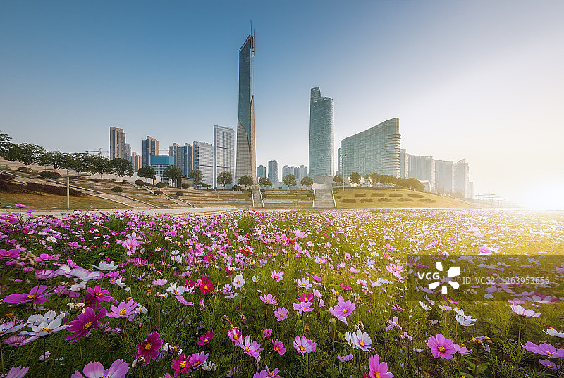 湖南省长沙市北辰三角洲花海与三管一厅图片素材
