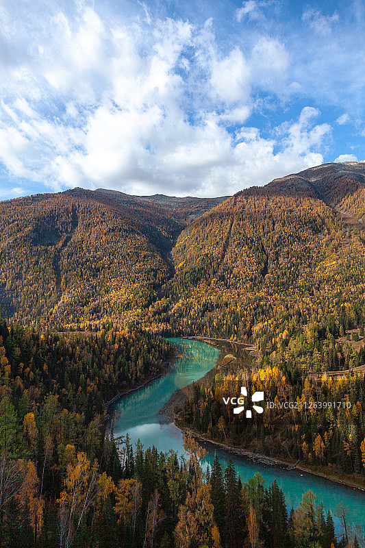 新疆喀纳斯景区秋景图片素材