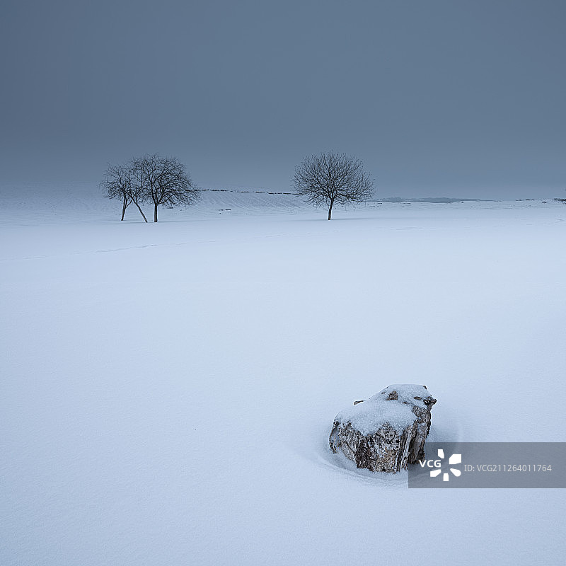 雪地树林图片素材