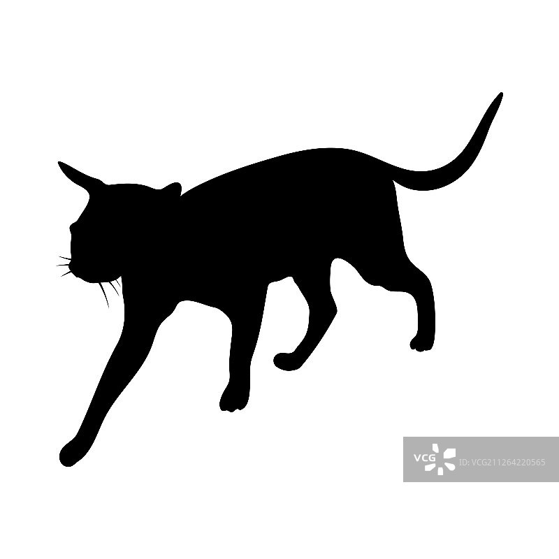 光滑清晰的猫剪影矢量插画图片素材