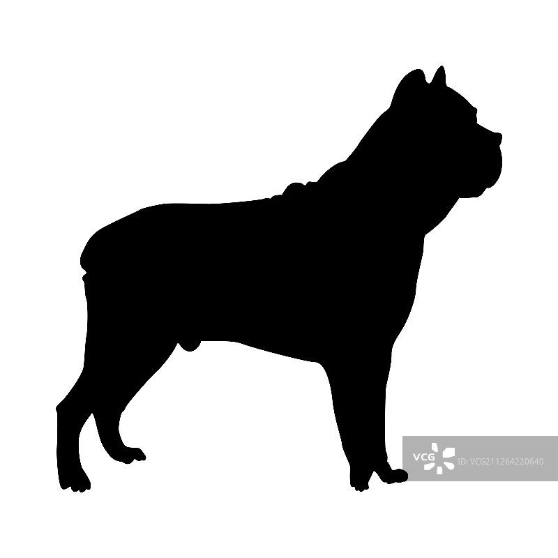拳击犬轮廓矢量图图片素材