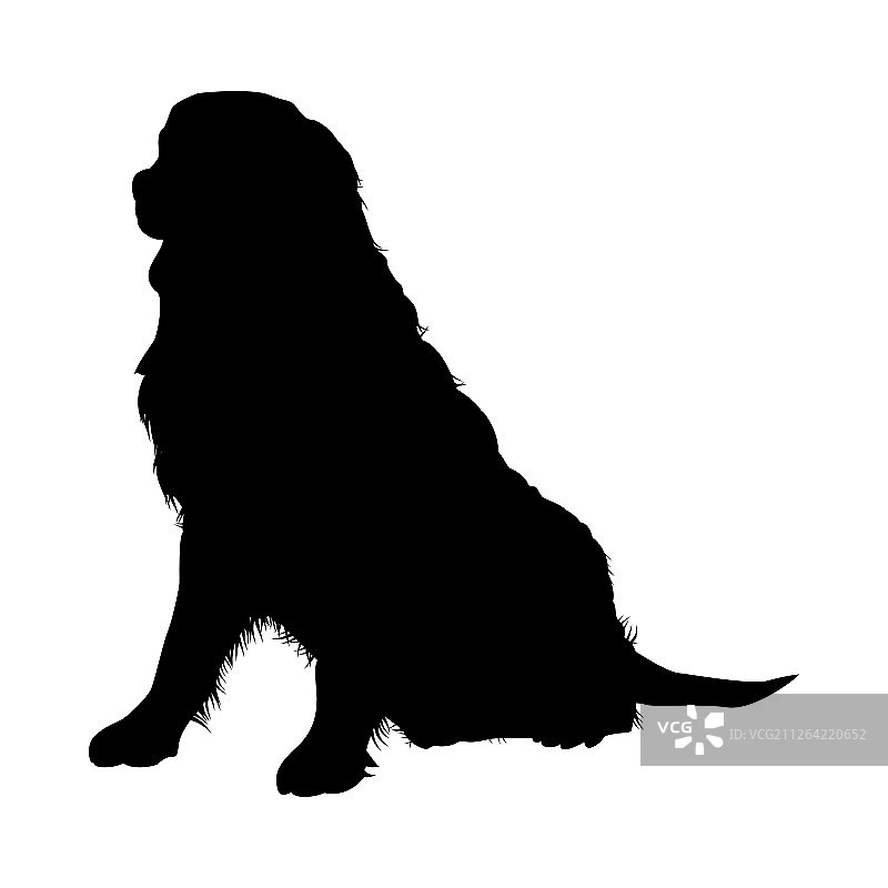 伯恩山犬轮廓光滑矢量图图片素材