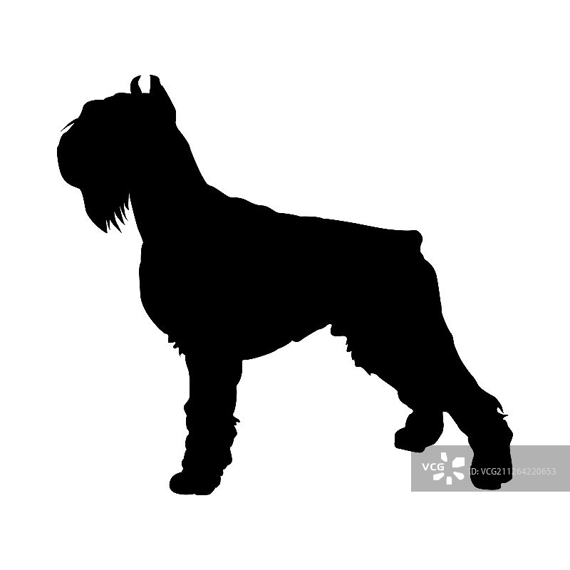 雪纳瑞犬剪影矢量图图片素材
