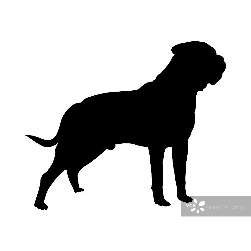斗牛獒犬剪影矢量图图片素材