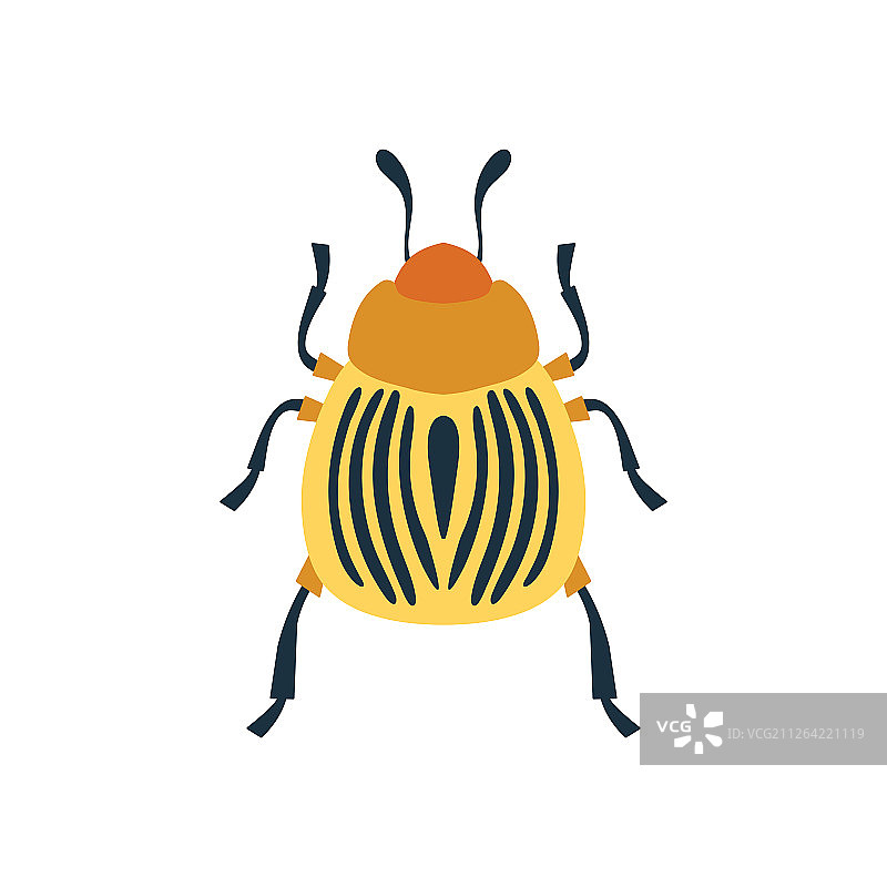 科罗拉多马铃薯甲虫图标扁平设计矢量图图片素材