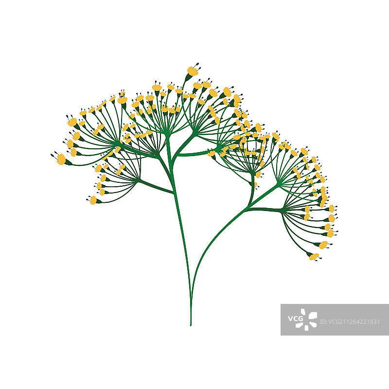 莳萝图标：扁平风格设计矢量素材图片素材