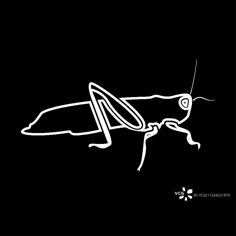 蚱蜢图标图片素材