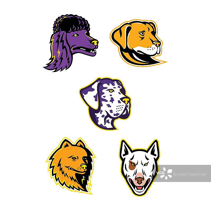 贵宾犬、博美犬、大丹犬、拉布拉多寻回犬和牛头梗头像的吉祥物图标插图集（复古风格的侧面视角，独立背景），狗头吉祥物合集图片素材