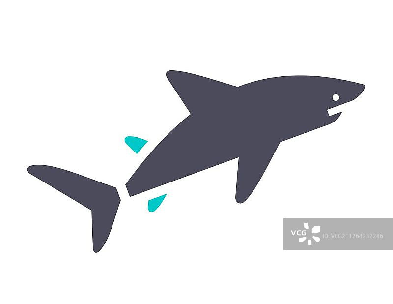 白色背景上的灰色绿松石鲨鱼图标图片素材