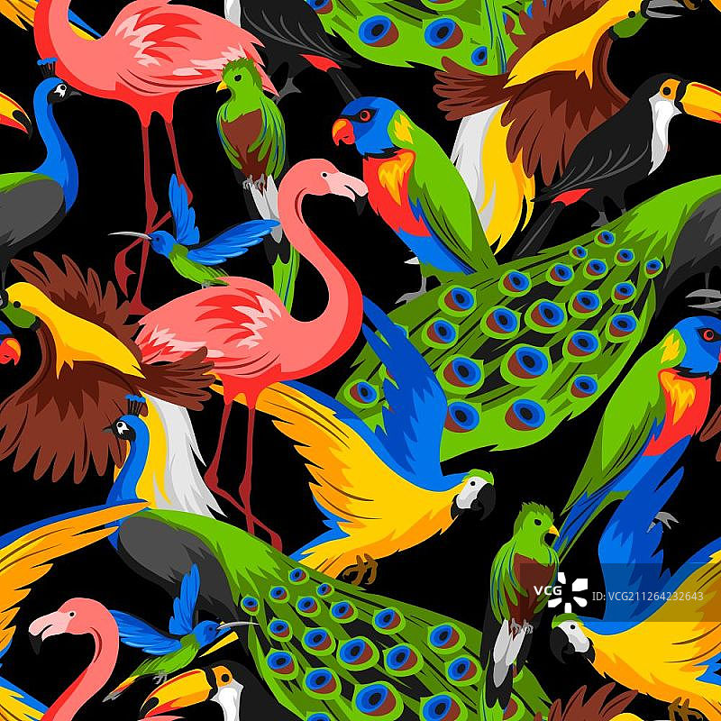 热带异域鸟类无缝图案图片素材