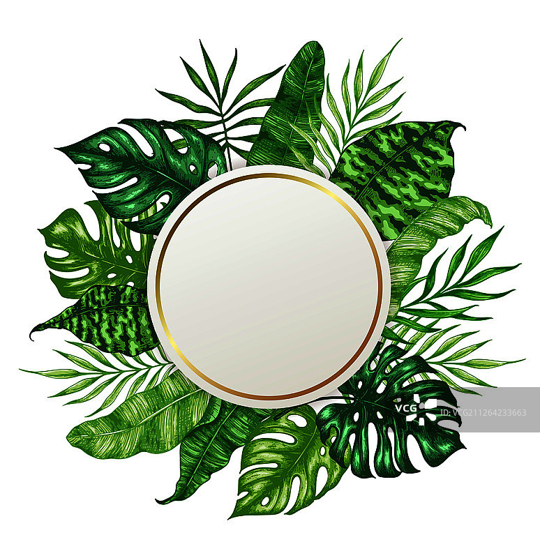 热带夏季背景：绿色棕榈叶与圆形banner矢量插画图片素材