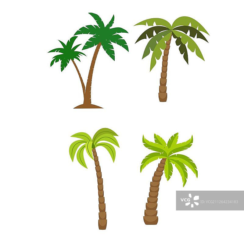扁平风矢量棕榈树合集图片素材
