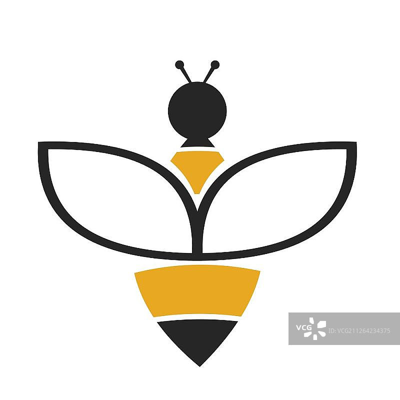 白色背景上的精美蜜蜂设计图片素材