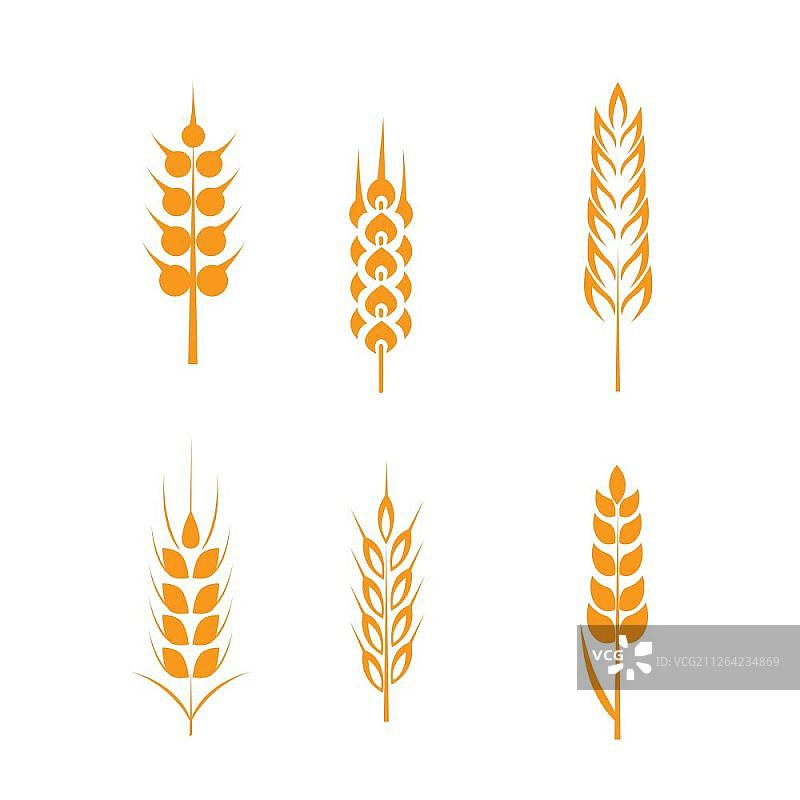 麦穗图标集：麦穗与有机小麦图片素材