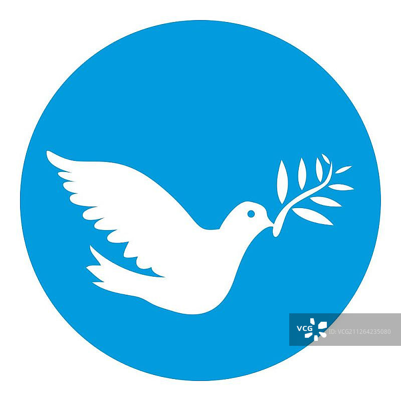 白色鸽子，和平的象征图片素材
