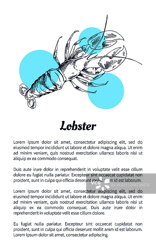 手绘龙虾海鲜矢量图：餐厅菜单装饰图案图片素材