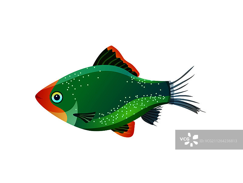 绿虎鱼海洋生物彩色海报图片素材