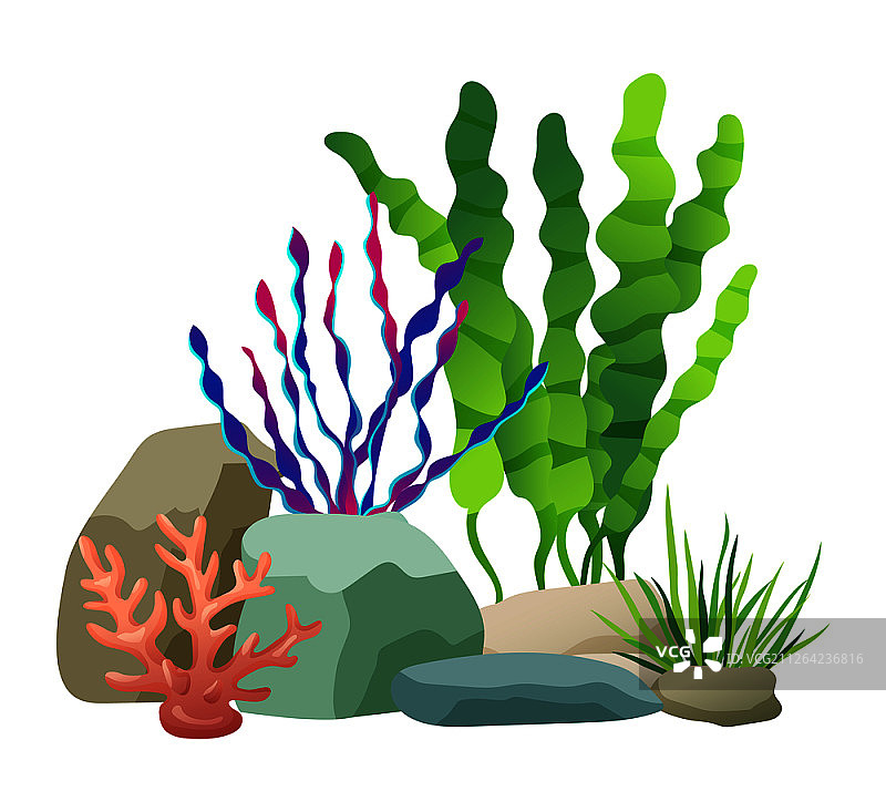 海藻岩石和植物组合矢量素材图片素材