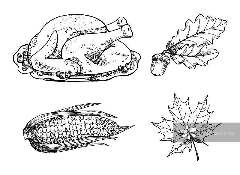 火鸡菜肴和枫叶单色草图矢量素材，感恩节玉米橡子肉类秋收节假日图片素材