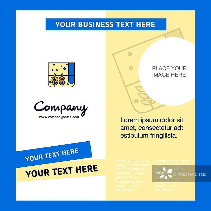 谷物袋公司宣传册模板，矢量商务模板图片素材