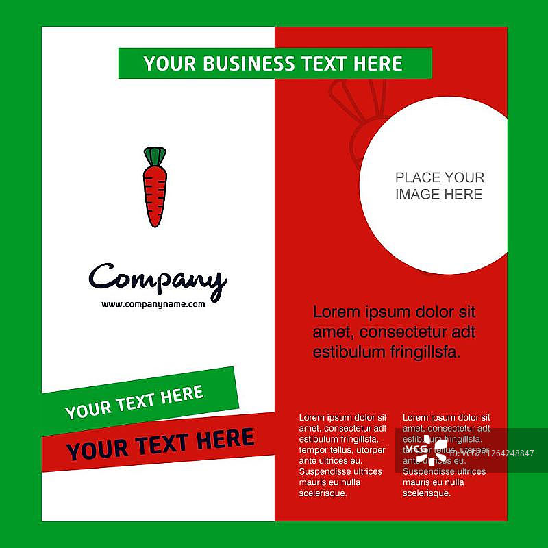 胡萝卜公司宣传册模板：矢量商务模板图片素材