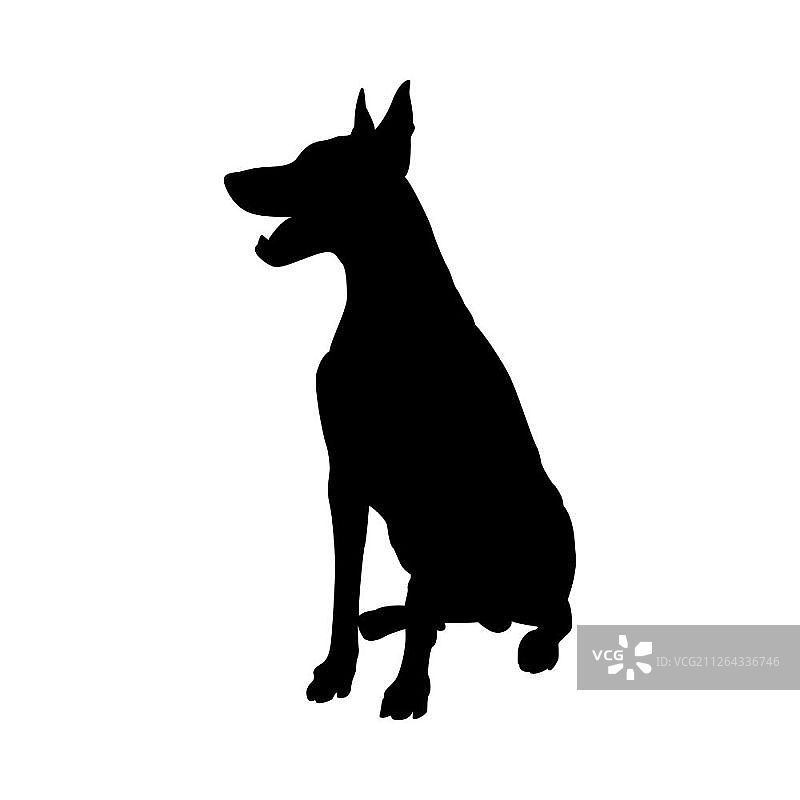 杜宾犬剪影矢量图图片素材