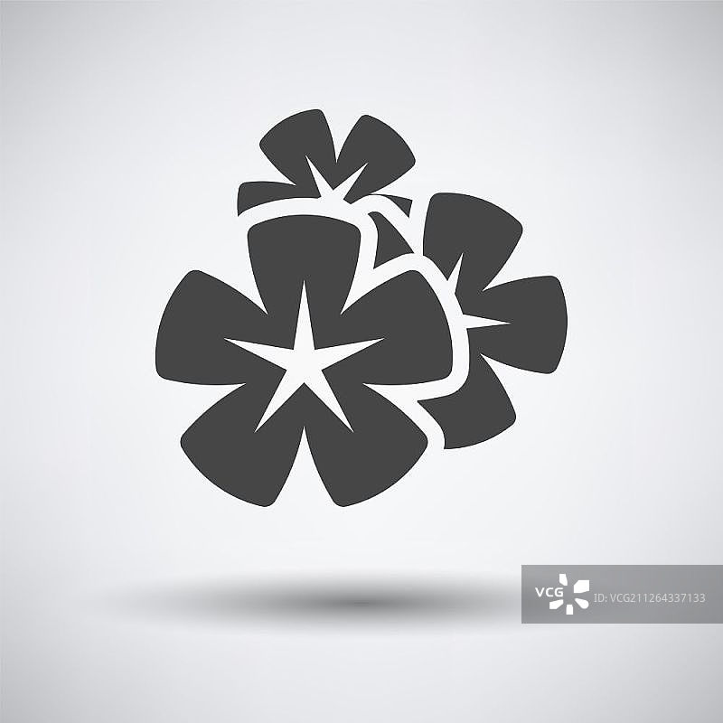 灰色背景上的鸡蛋花图标，带圆形阴影。矢量图图片素材