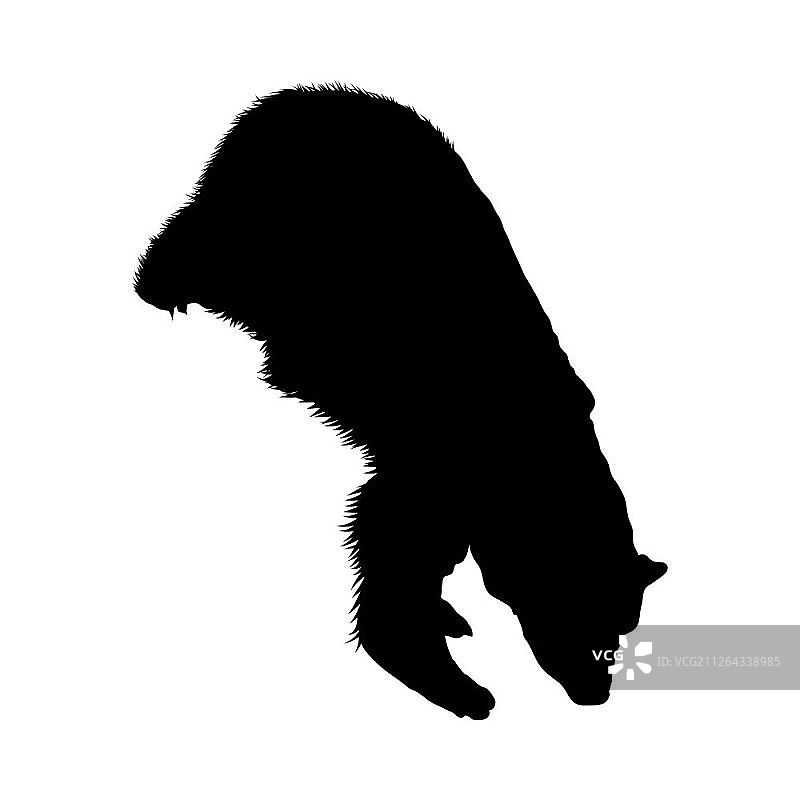 北极熊轮廓剪影矢量图图片素材