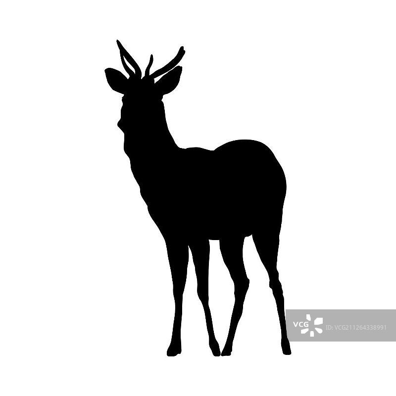 鹿剪影，高度精细的平滑设计矢量图图片素材