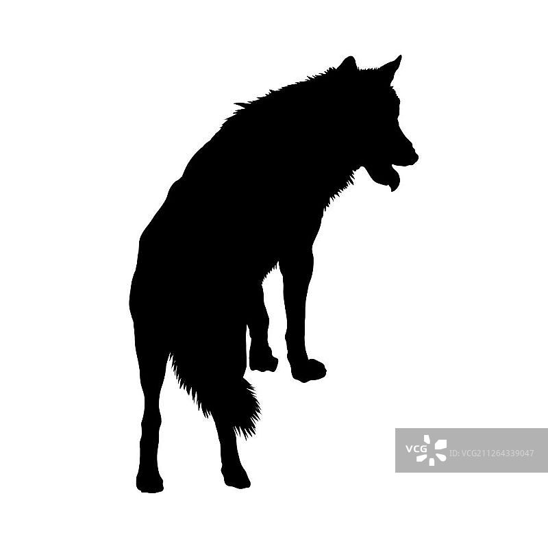 狼剪影高细节平滑设计矢量插图图片素材