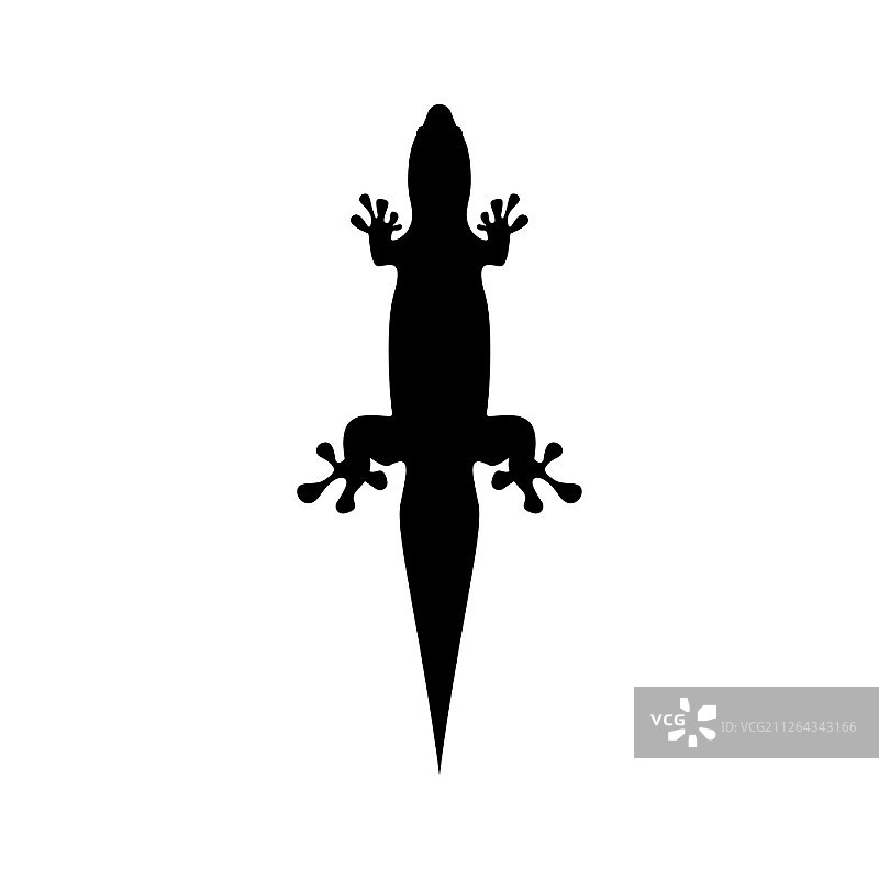 蜥蜴图标图片素材