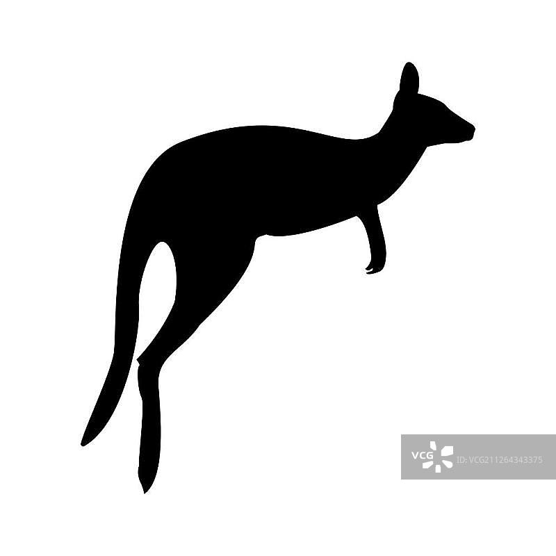 袋鼠图标图片素材